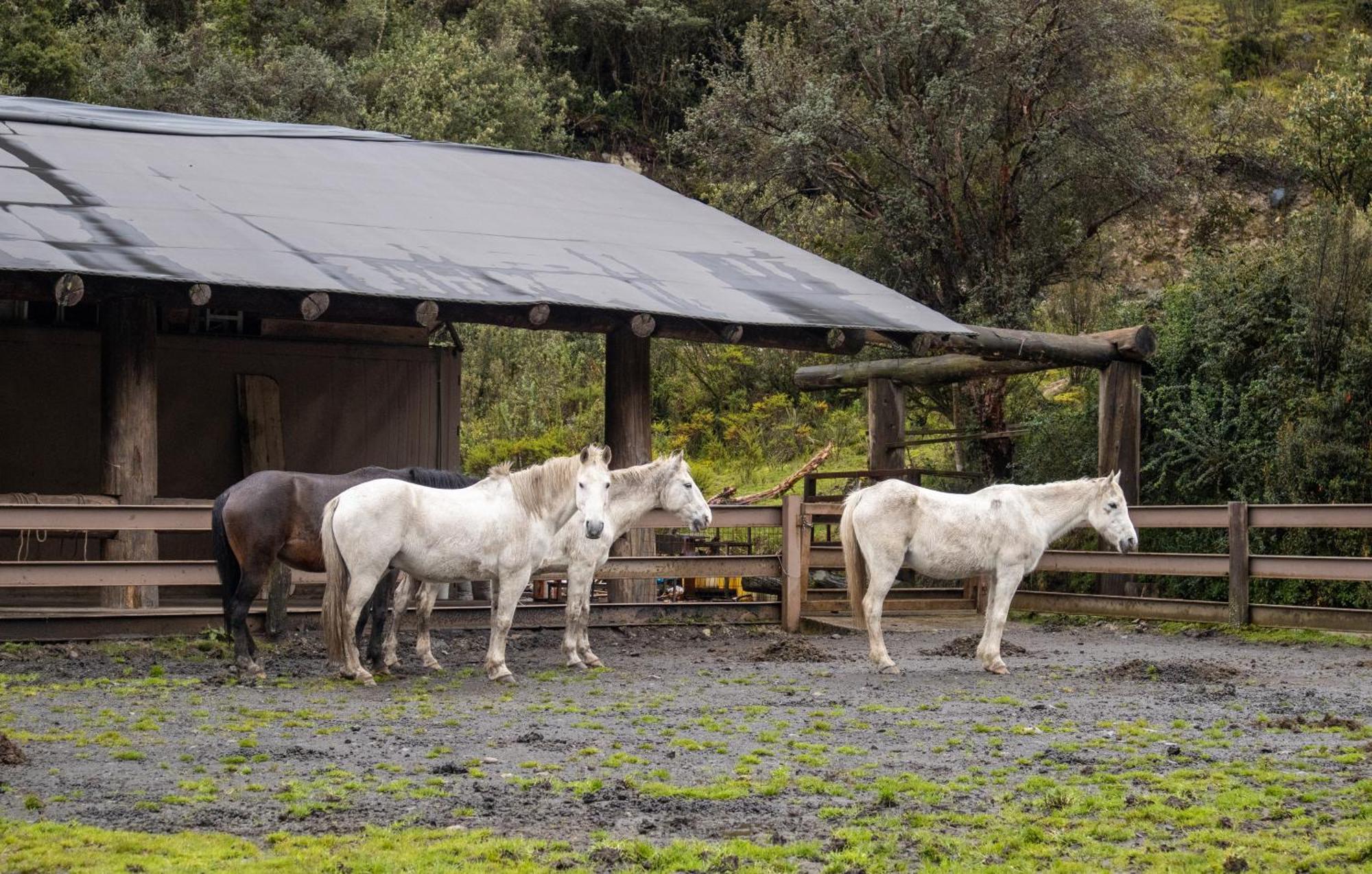 Hacienda Hosteria Dos Chorreras Cuenca Eksteriør bilde